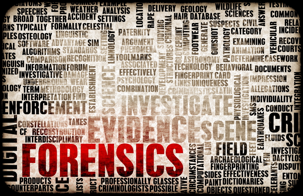 Digital Forensics Overview in a Nutshell! - Image